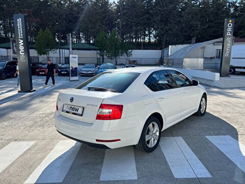 skoda, octavia, sedan 1.6 tdı greentec optimal dsg, otomatik, dizel 2.el otomobil | renew 6